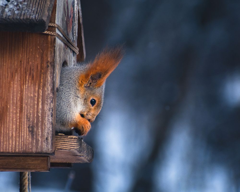 Photograph by Михаил Бирюков