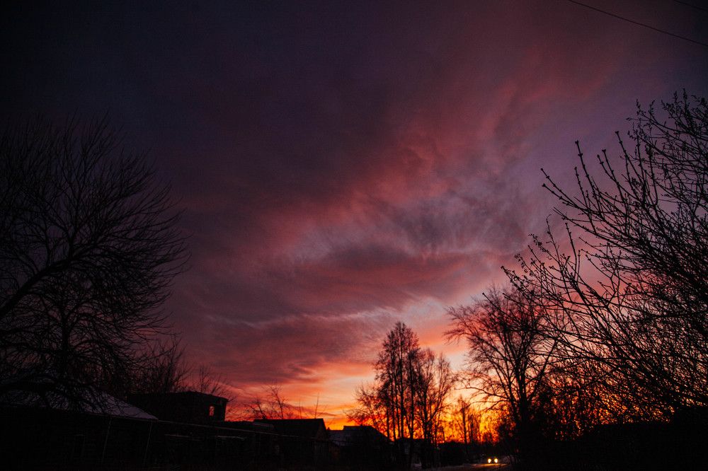 Photograph by Лариса Цепелева