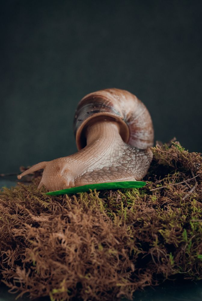 Photograph by Анастасия Яковлева