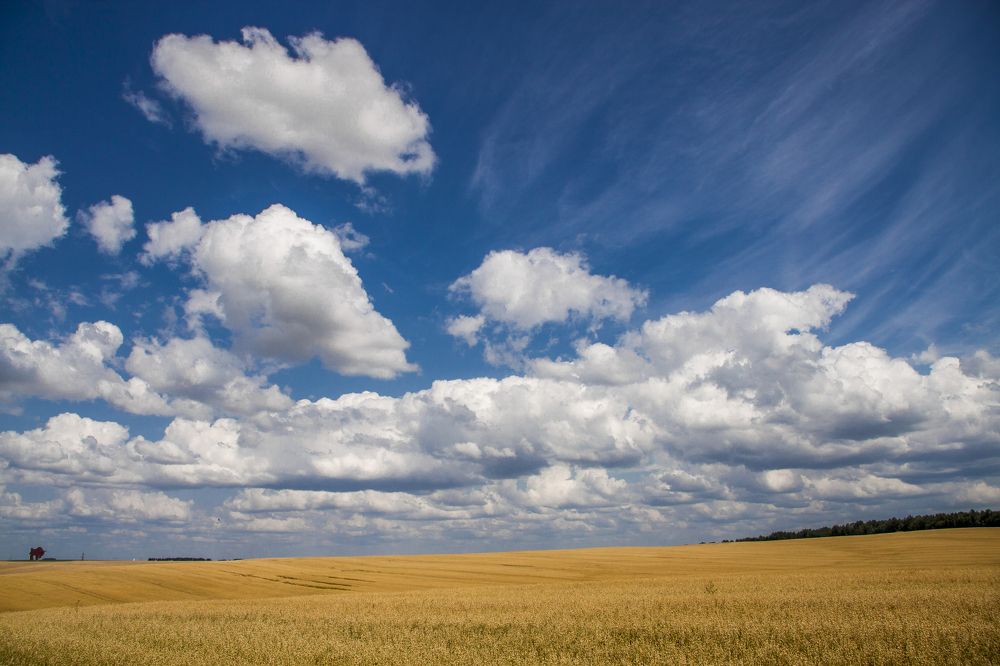 Июльский зной - 8