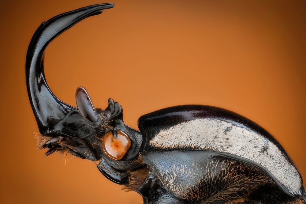 Photograph by Антон Орленко