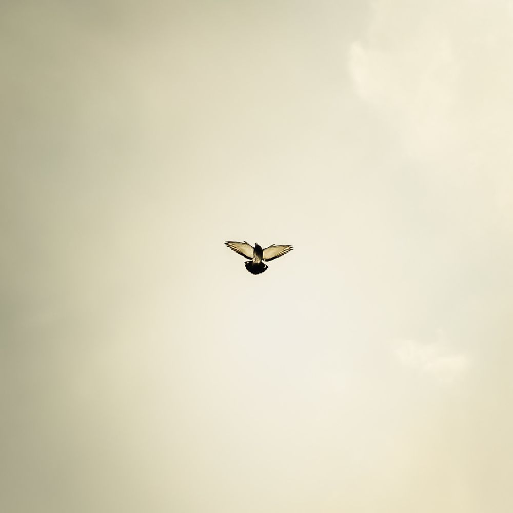 Photograph by Виталий Корнеев