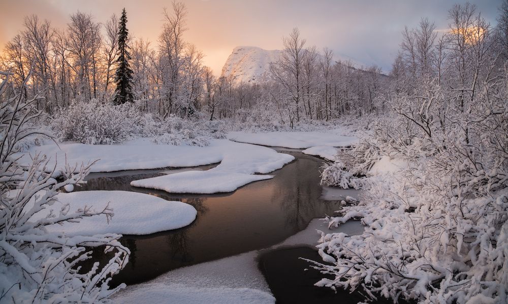 Photograph by Виталий Истомин