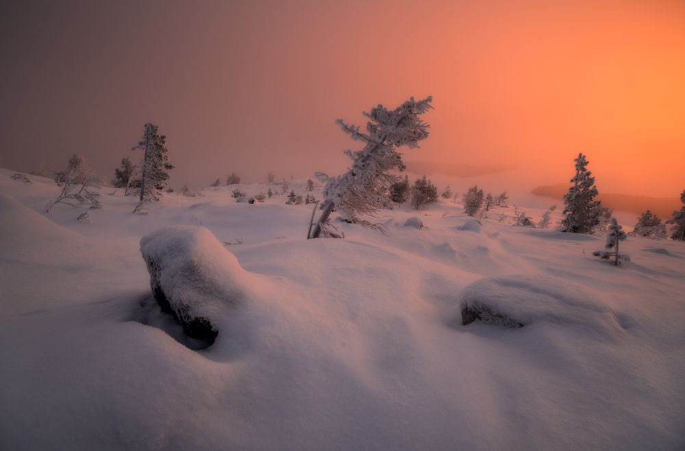 Photograph by Виталий Истомин