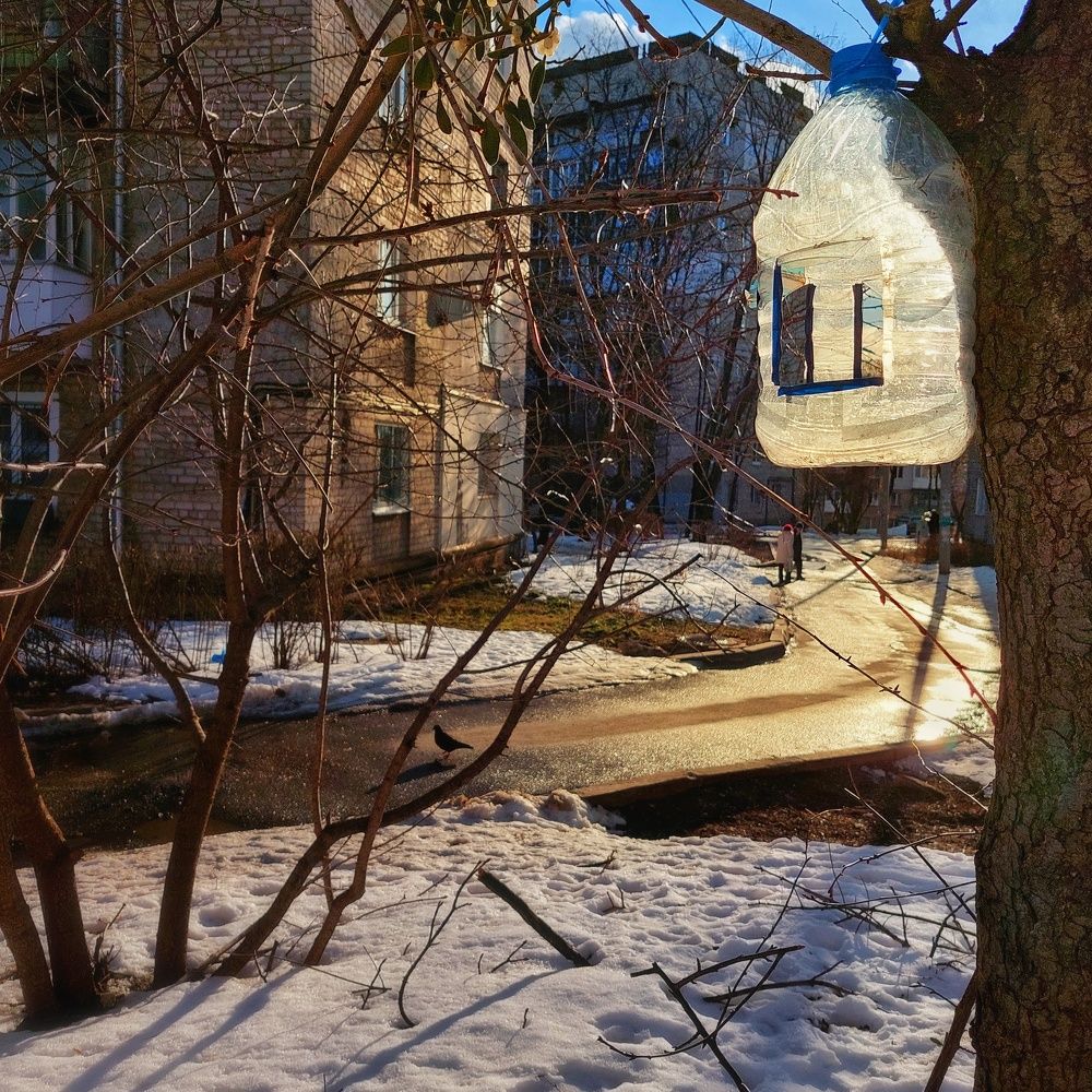 Photograph by Денис Шаповалов