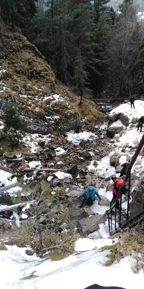 Photo #7207235