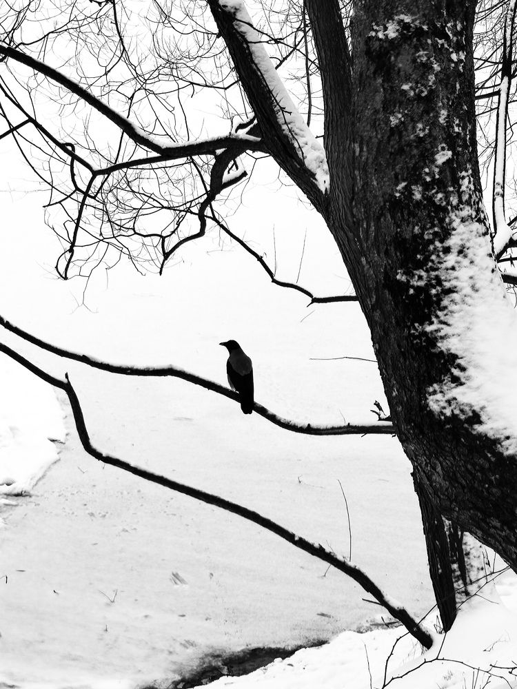 Photograph by Андрей Ионов