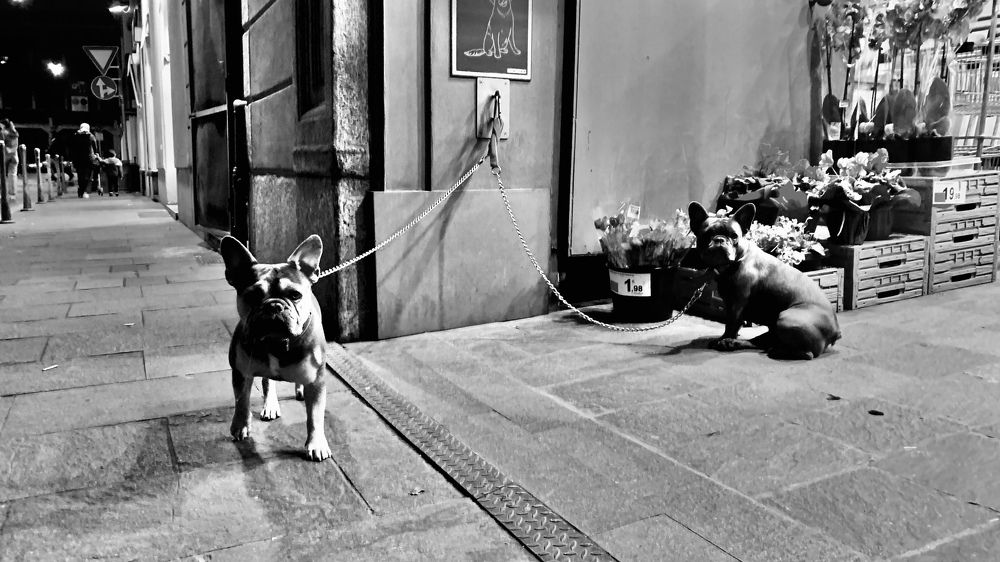 Photograph by Борис