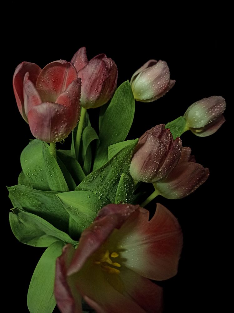 Photograph by Ирина Дегтярева