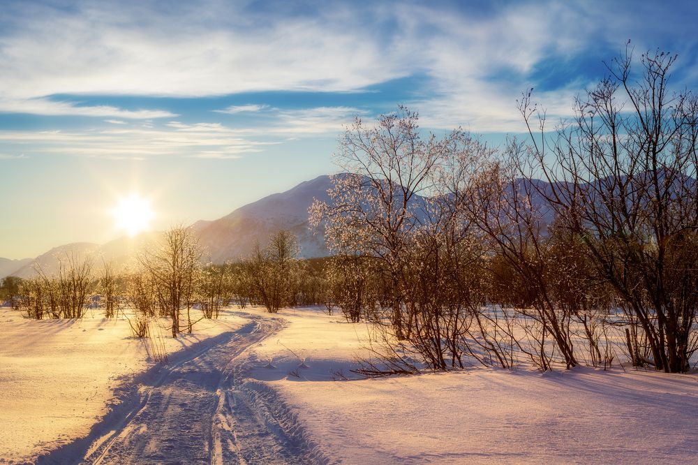 Photograph by Olga Yarovenko