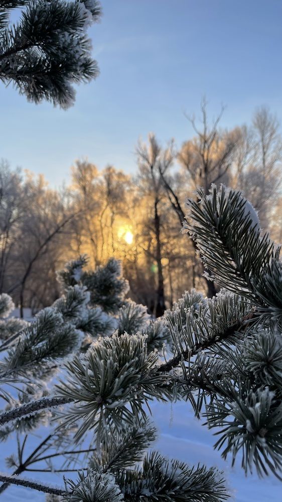 Photograph by Алина Сулейманова