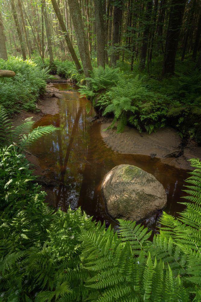 Photograph by Евгений Волосков