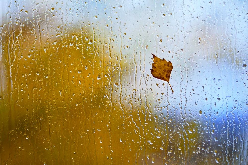 Photograph by Татьяна Бравая