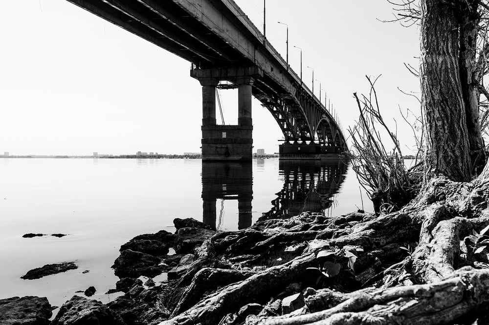 Волжский берег