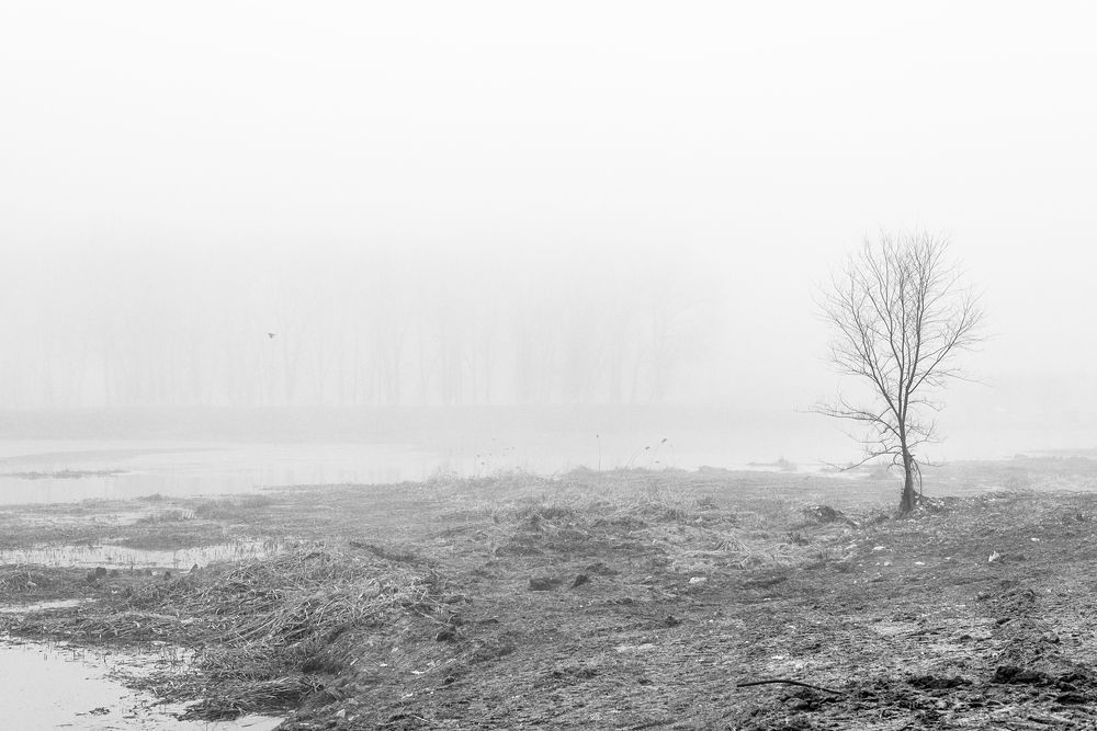 Photograph by Юрий Силин