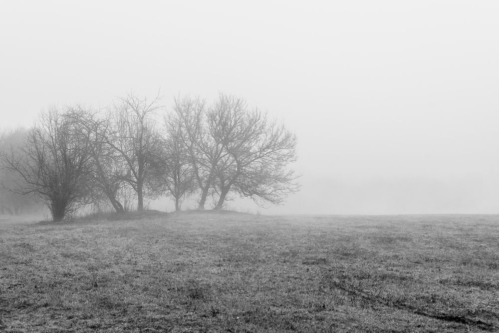 Photograph by Юрий Силин