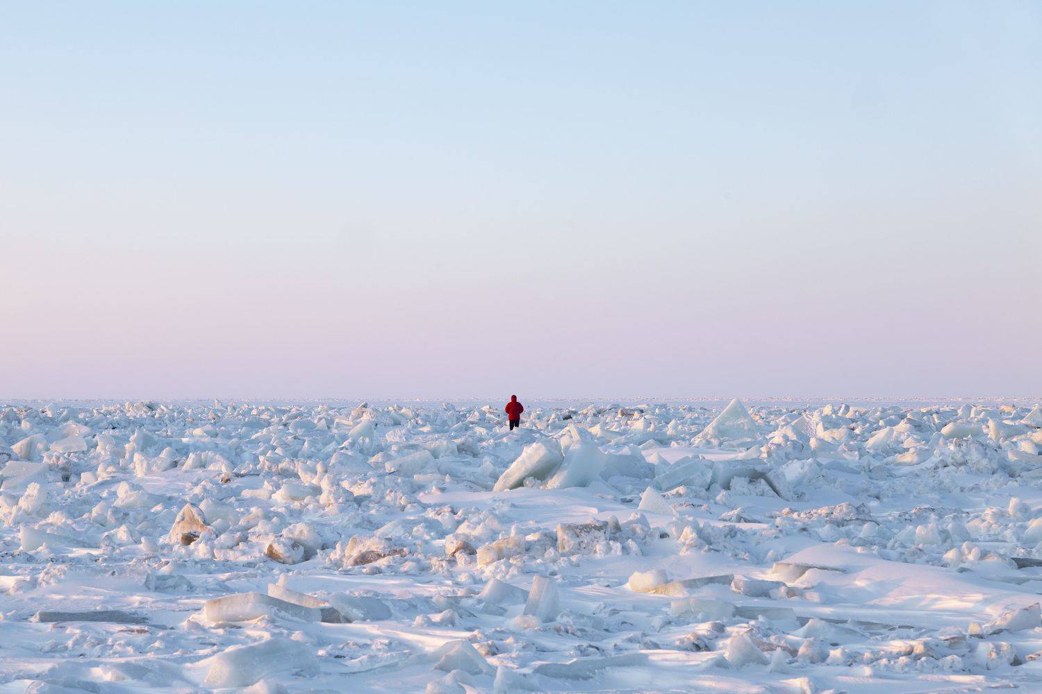 Photo #7207491