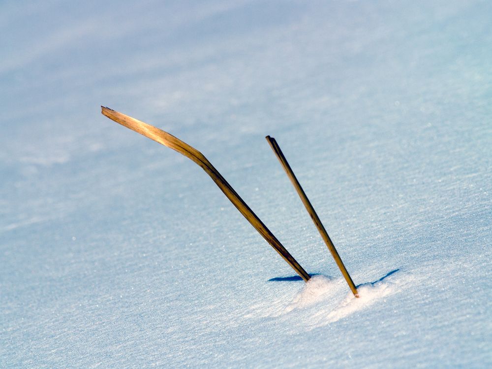 Photograph by Abdolreza Aleagha