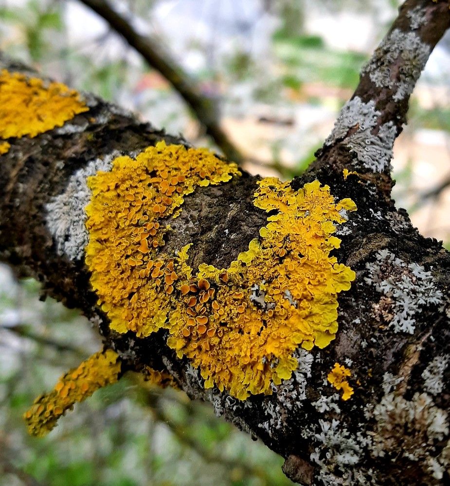 Фотография автора Ирина Лукьянчик