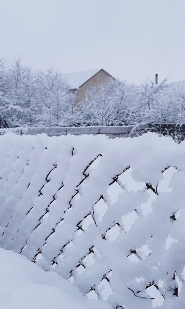Фотография автора Ирина Лукьянчик