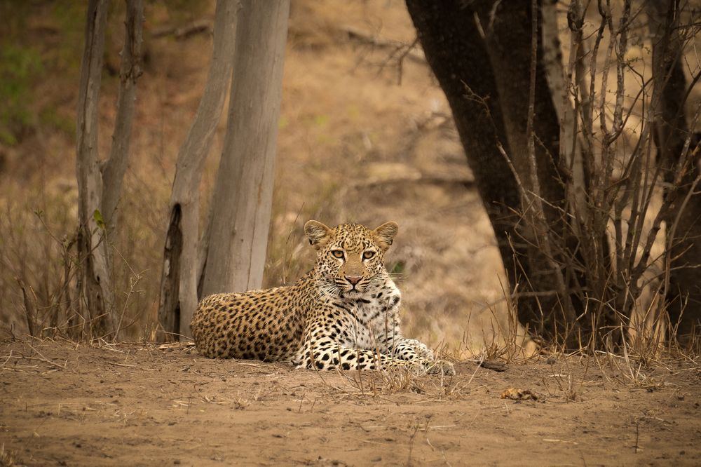 Photograph by Michele Illuzzi