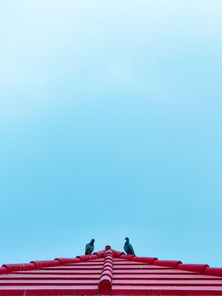 Photograph by Harsh yadav