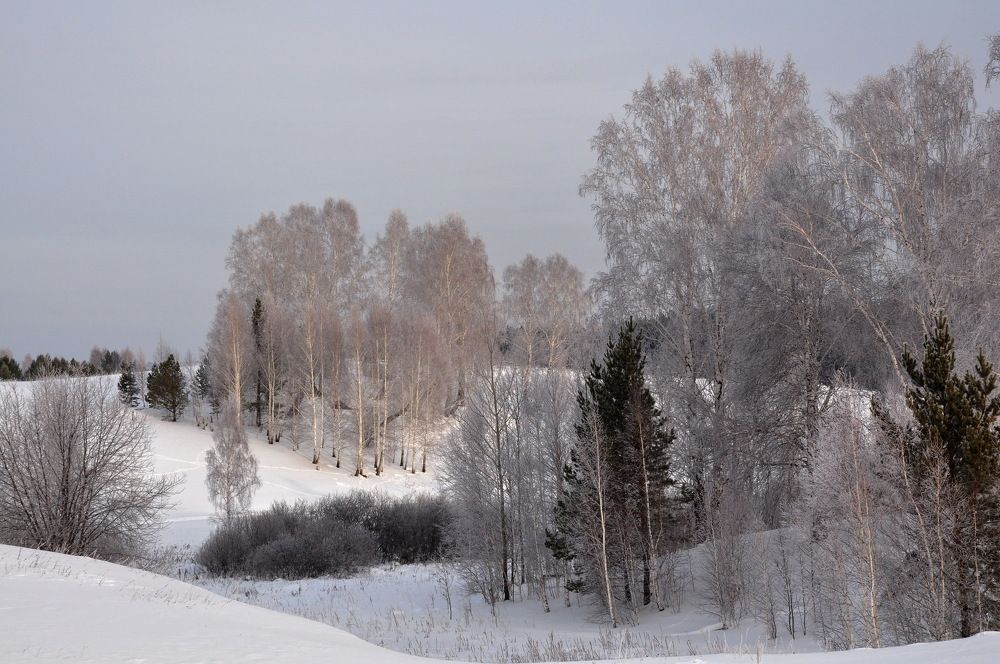 Photograph by Тимофеев Артемий