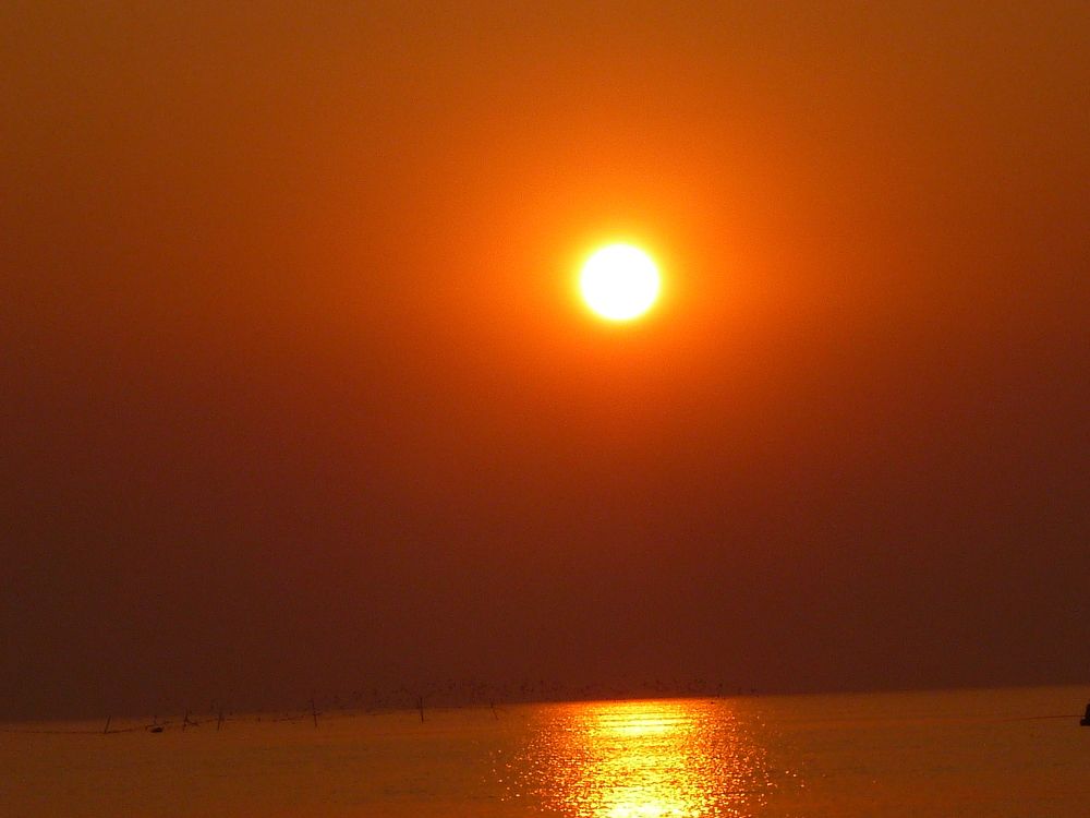 Photograph by Мила