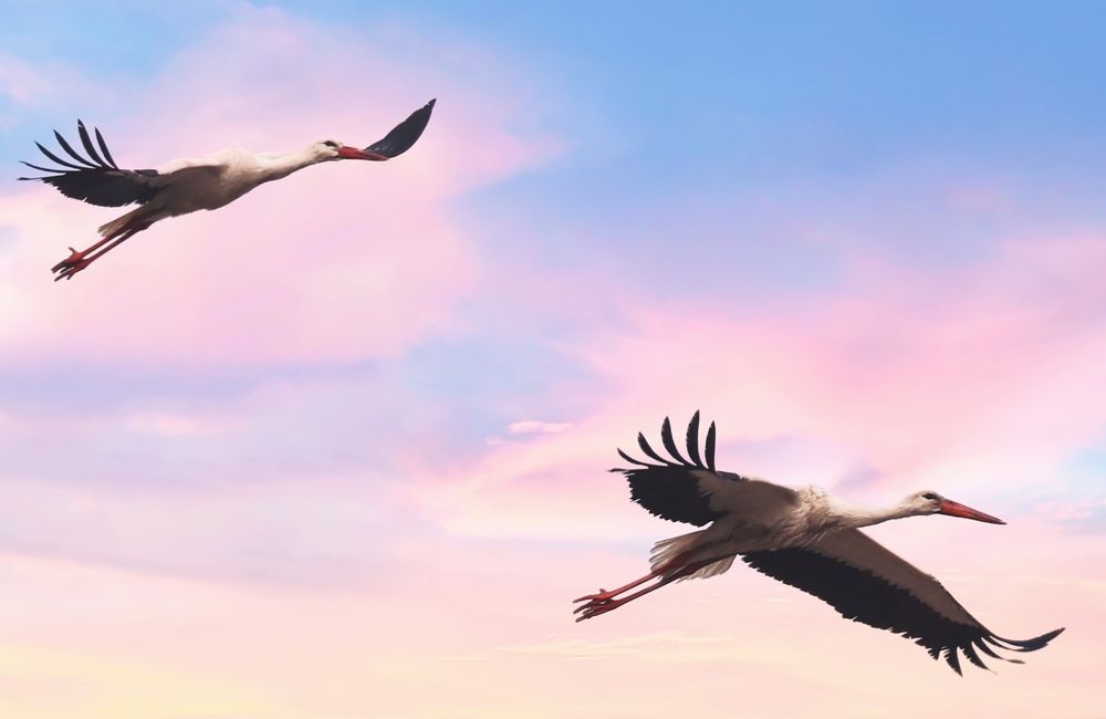 Photograph by Юрий Корсунцев