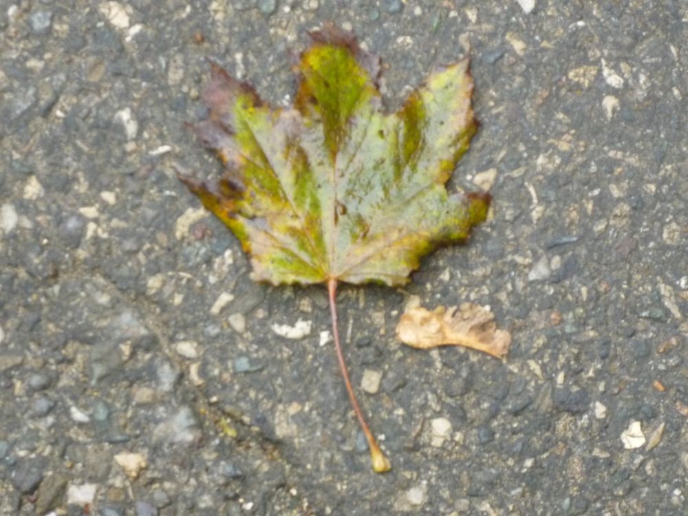 Photograph by Мила