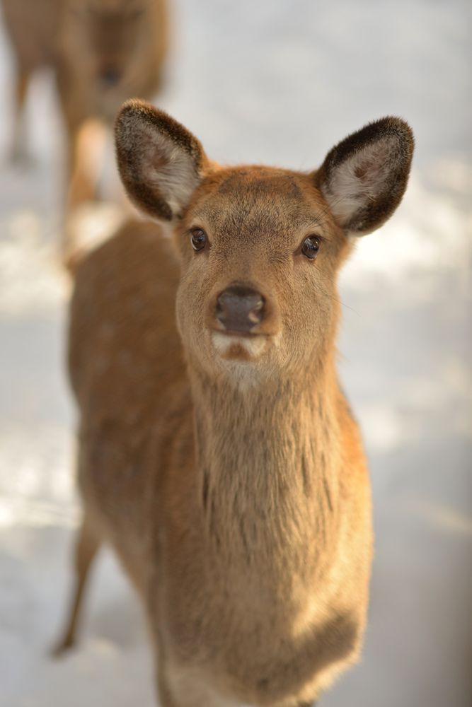 Photograph by Олеся Парфенова