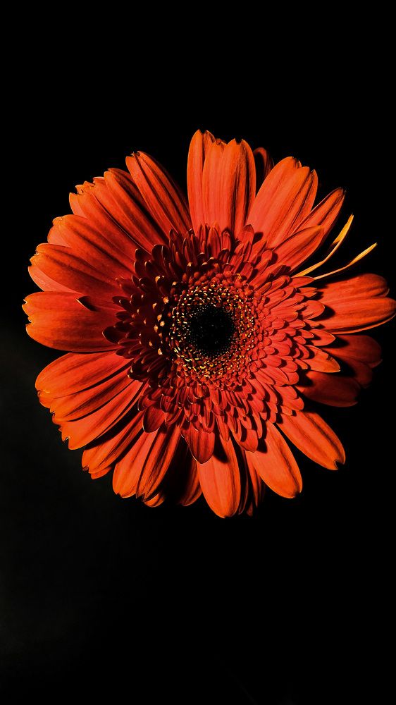 Photograph by Алина Сулейманова