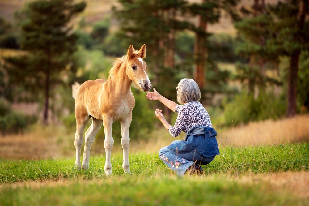 Photograph by Nataliya Nazarova