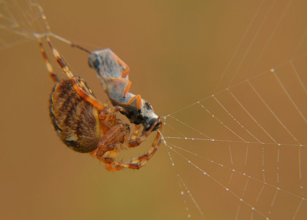 Photograph by Наталья Королева