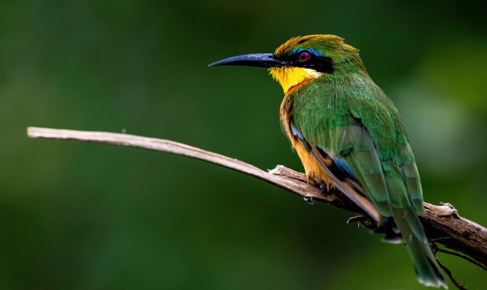 Photograph by Sergey Puponin