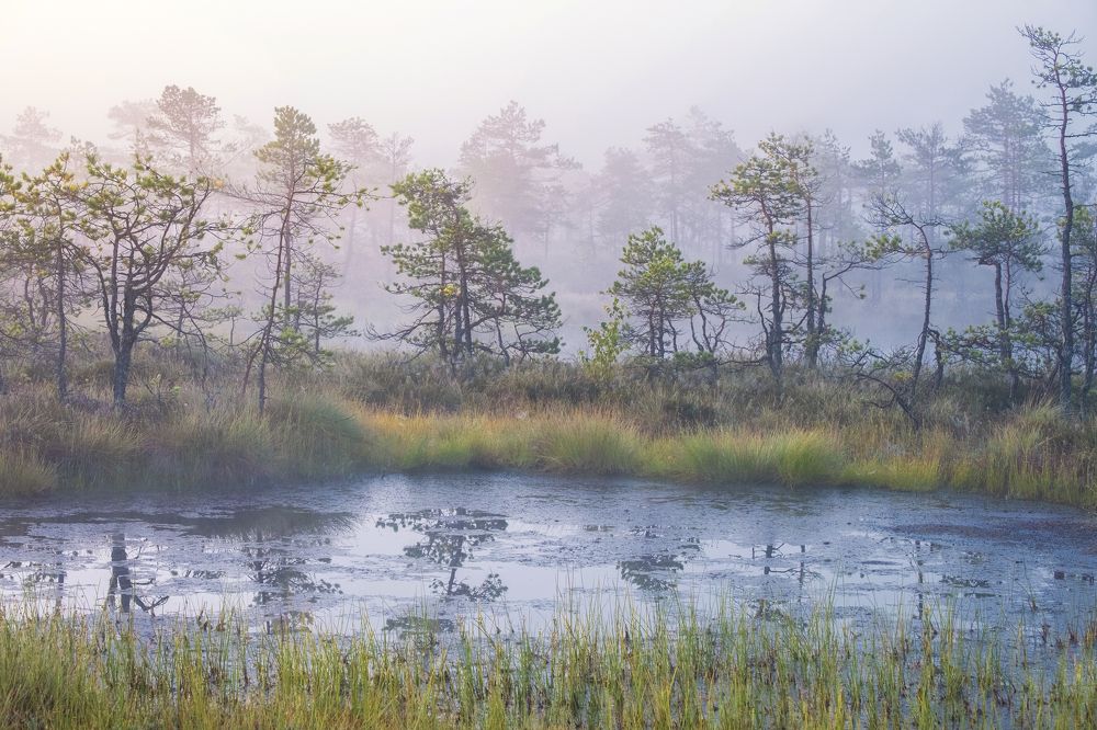 Photograph by Светлана Краюшкина