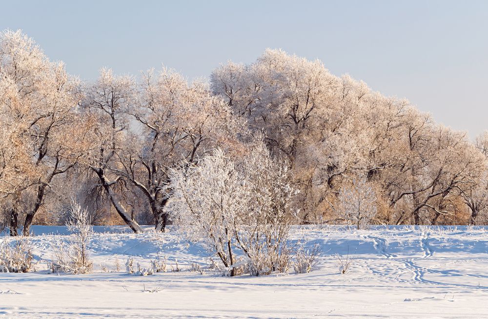 Photograph by Александр Горлов