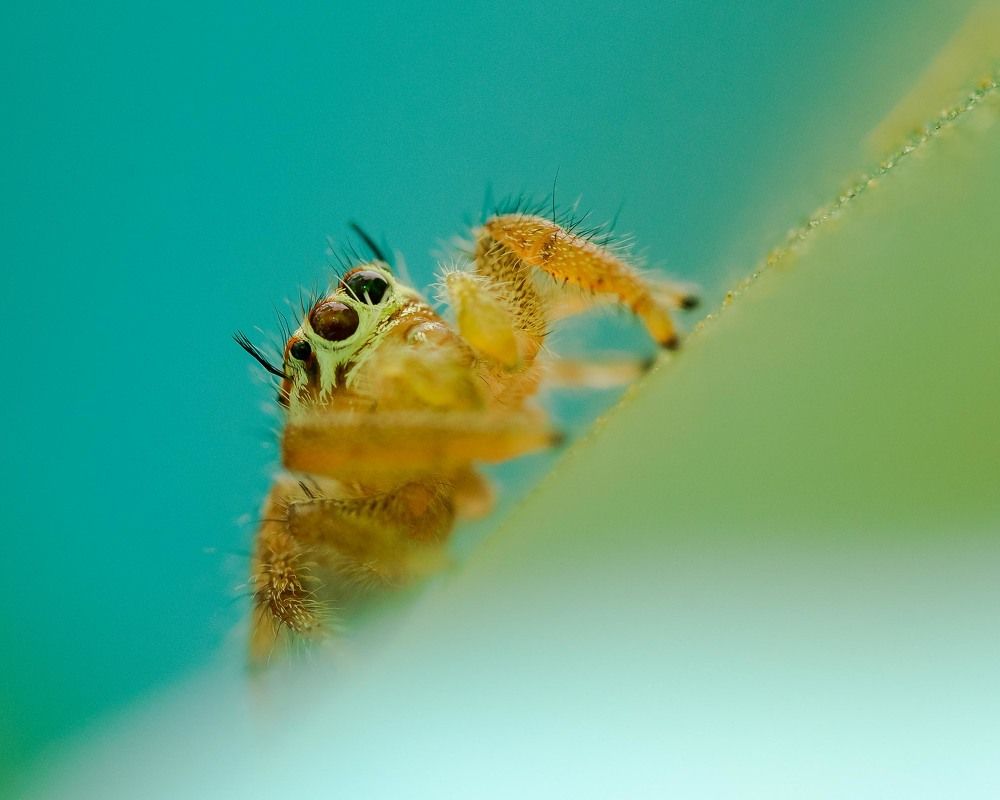 Photograph by Sangeetha Damodaran