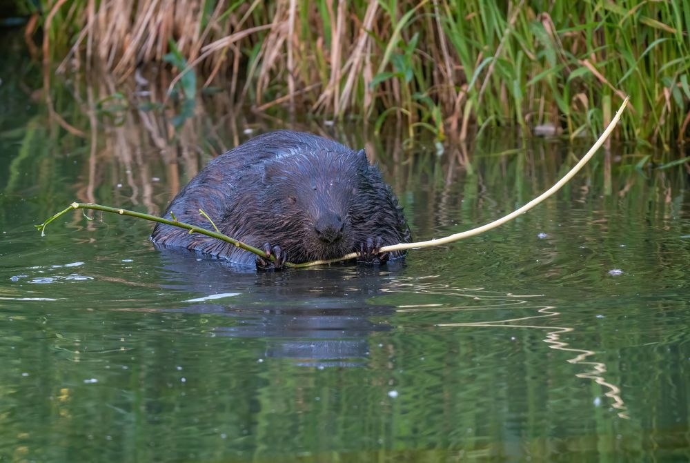 Photograph by Константин Дэм