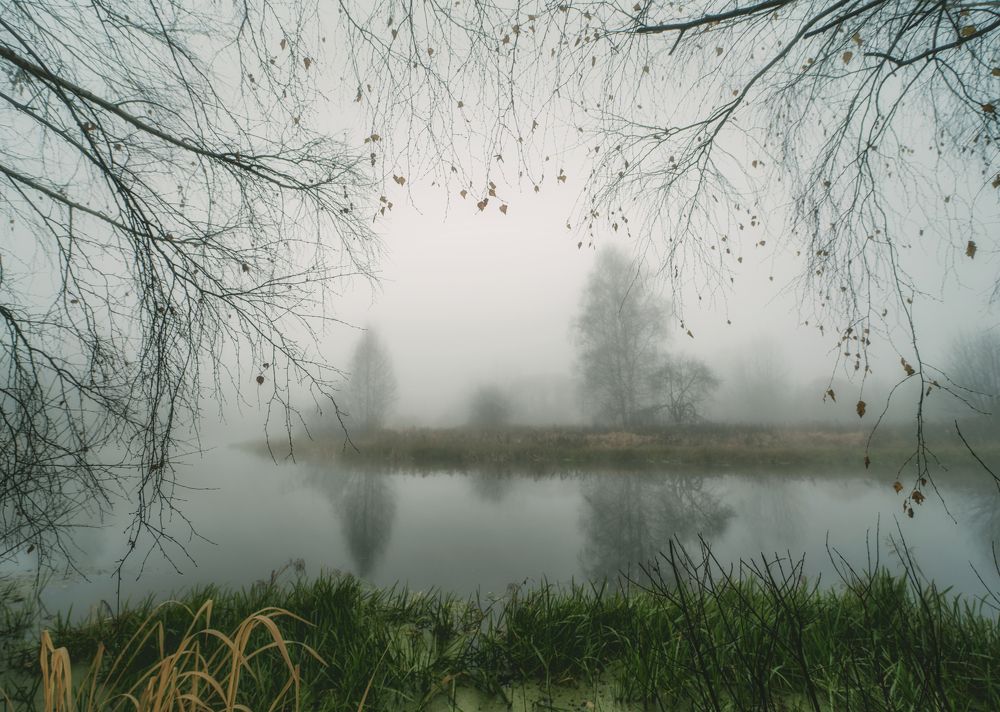 Photograph by Константин Дэм