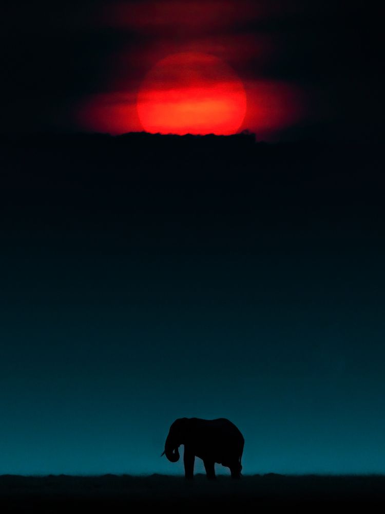 Photograph by Dhir Jakharia