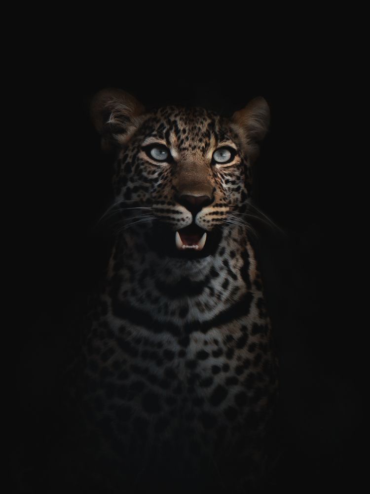 Photograph by Dhir Jakharia