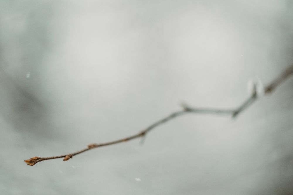 Photograph by Надежда Рачева