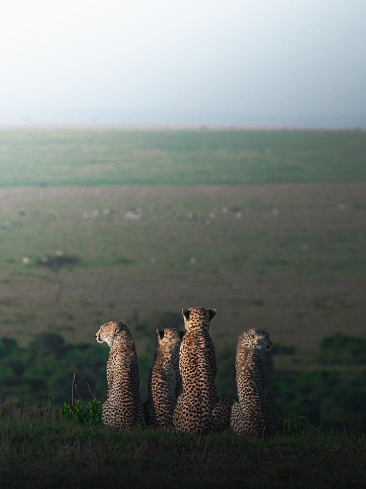 Photograph by Dhir Jakharia