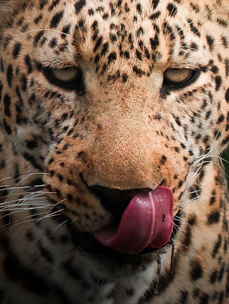 Photograph by Dhir Jakharia