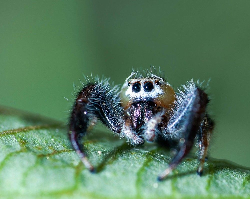 Photograph by Sangeetha Damodaran