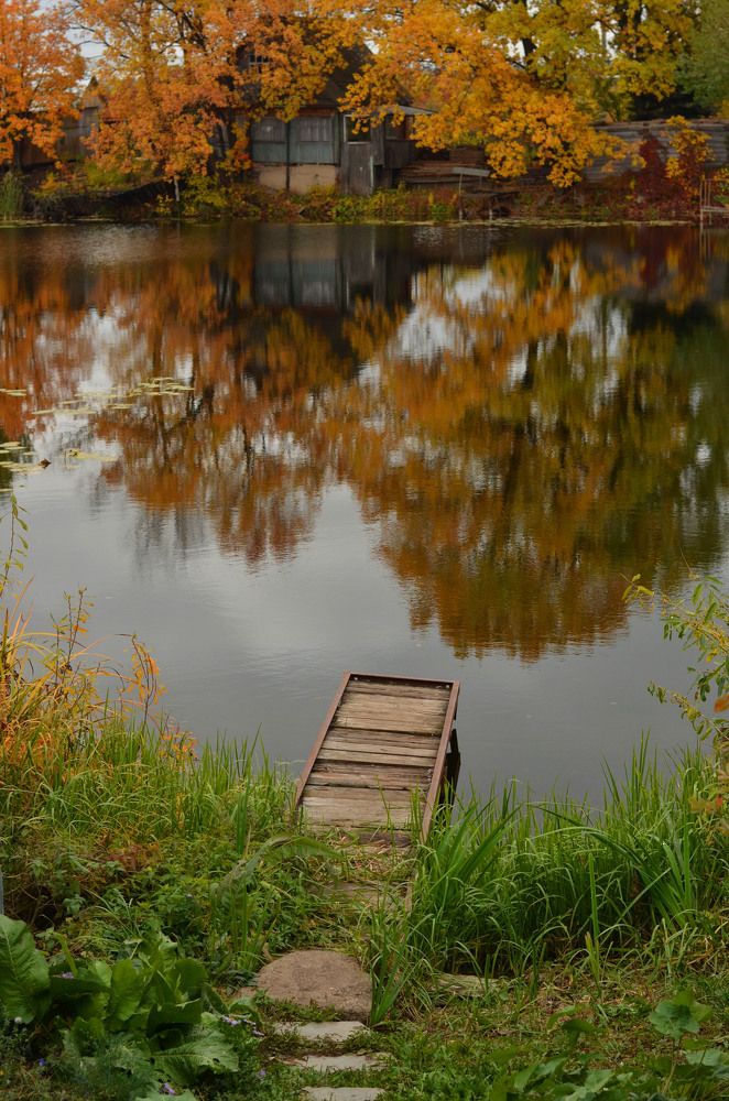 "Из лета в осень"