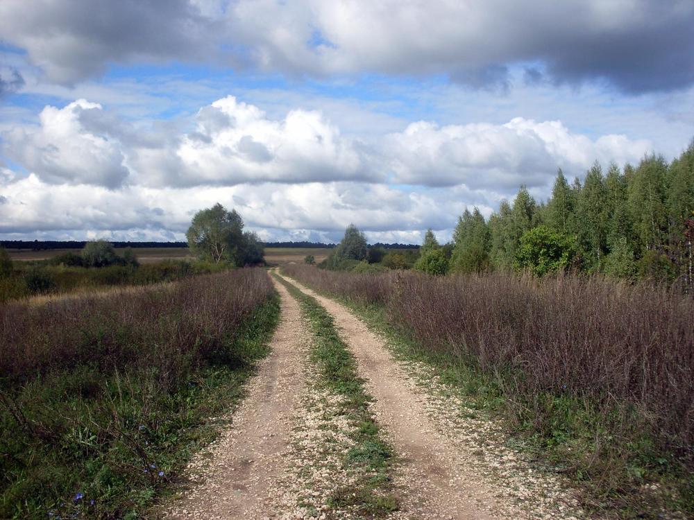 Photograph by Глеб Кузьминых