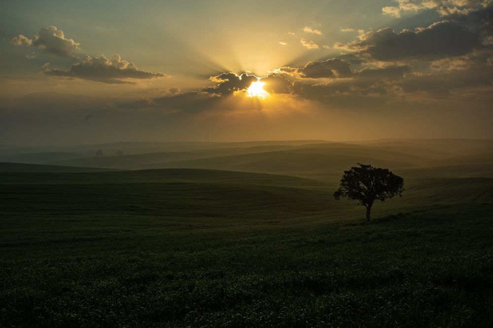 Photograph by marianna chechik