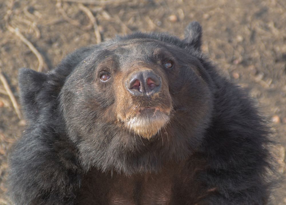 Photograph by Фёдор Зубчик